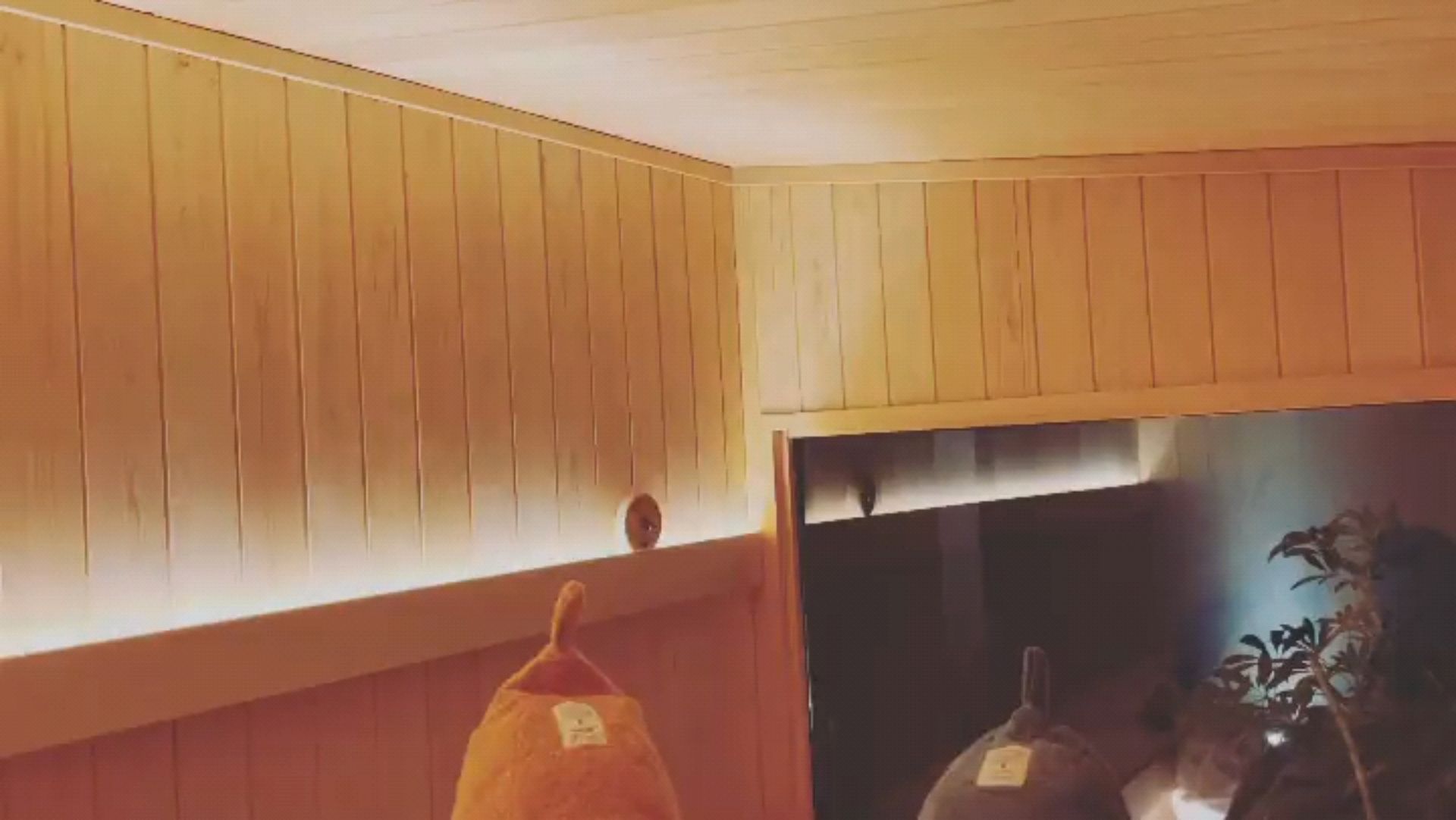 投稿動画サムネイル