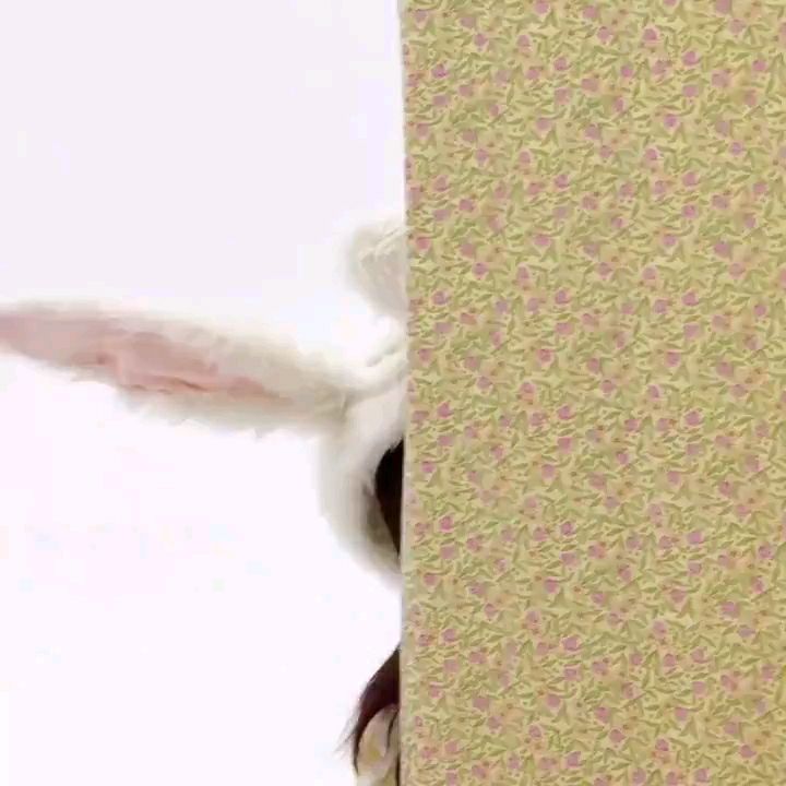 投稿動画サムネイル