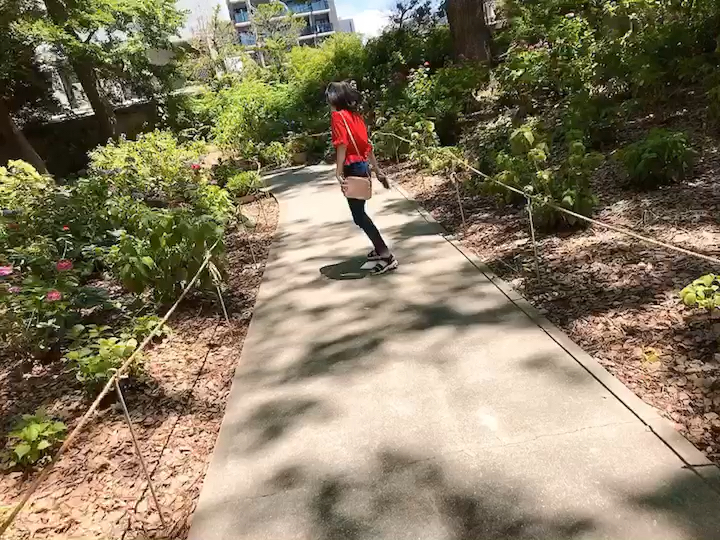 投稿動画サムネイル