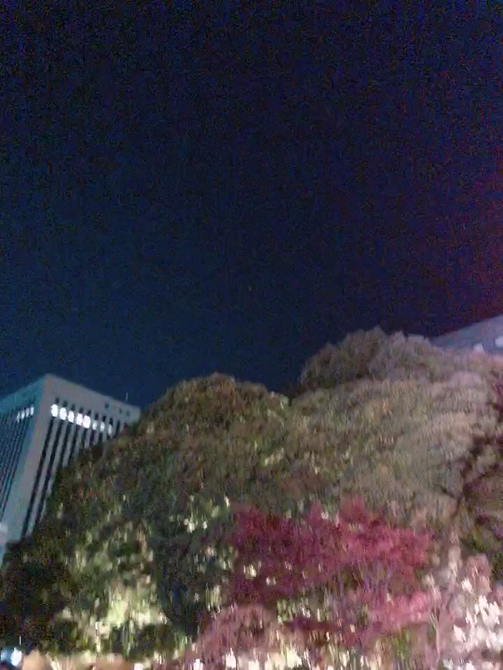 投稿動画サムネイル