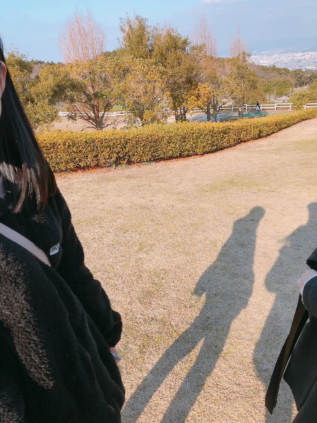 投稿動画サムネイル