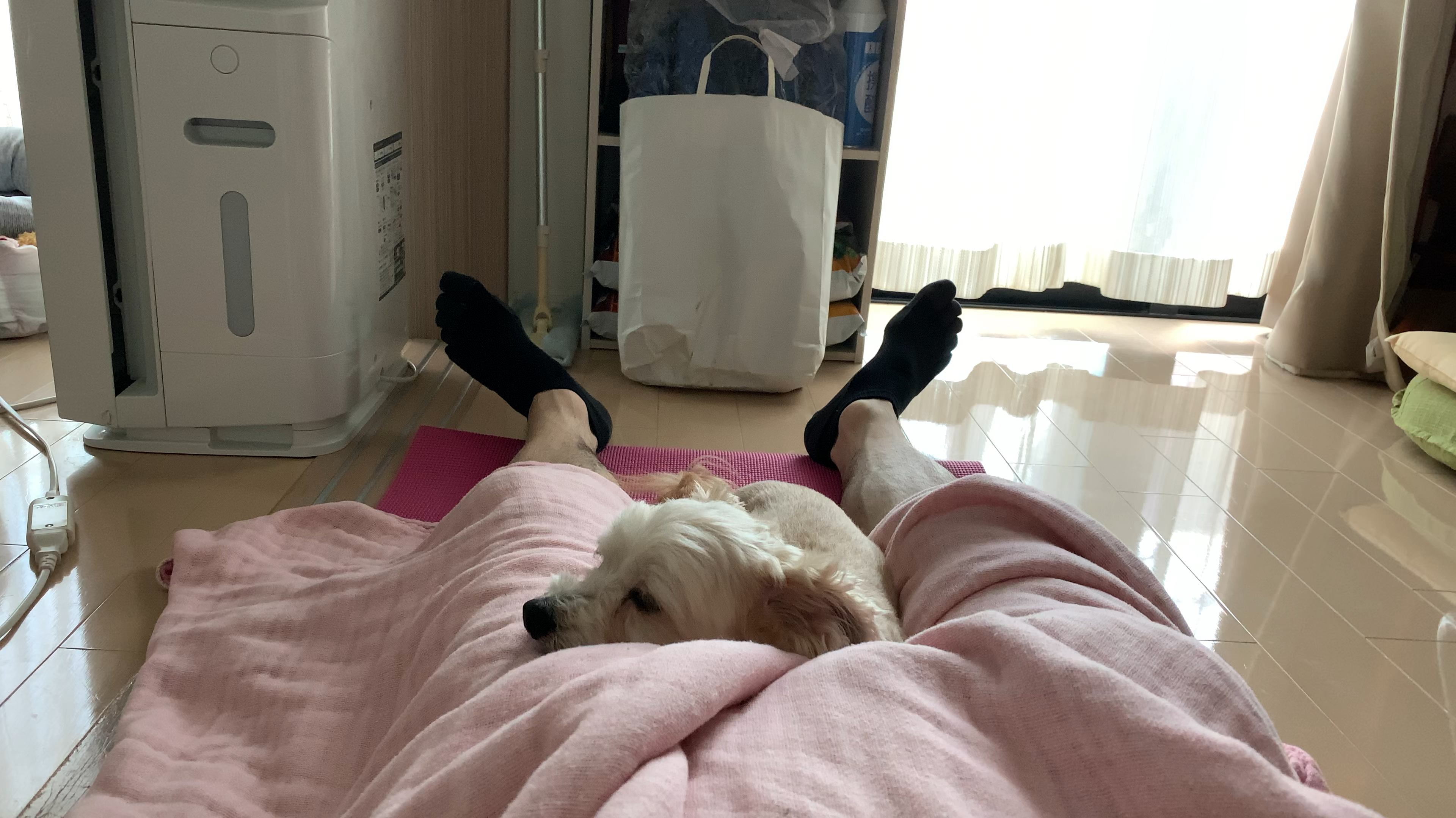 投稿動画サムネイル