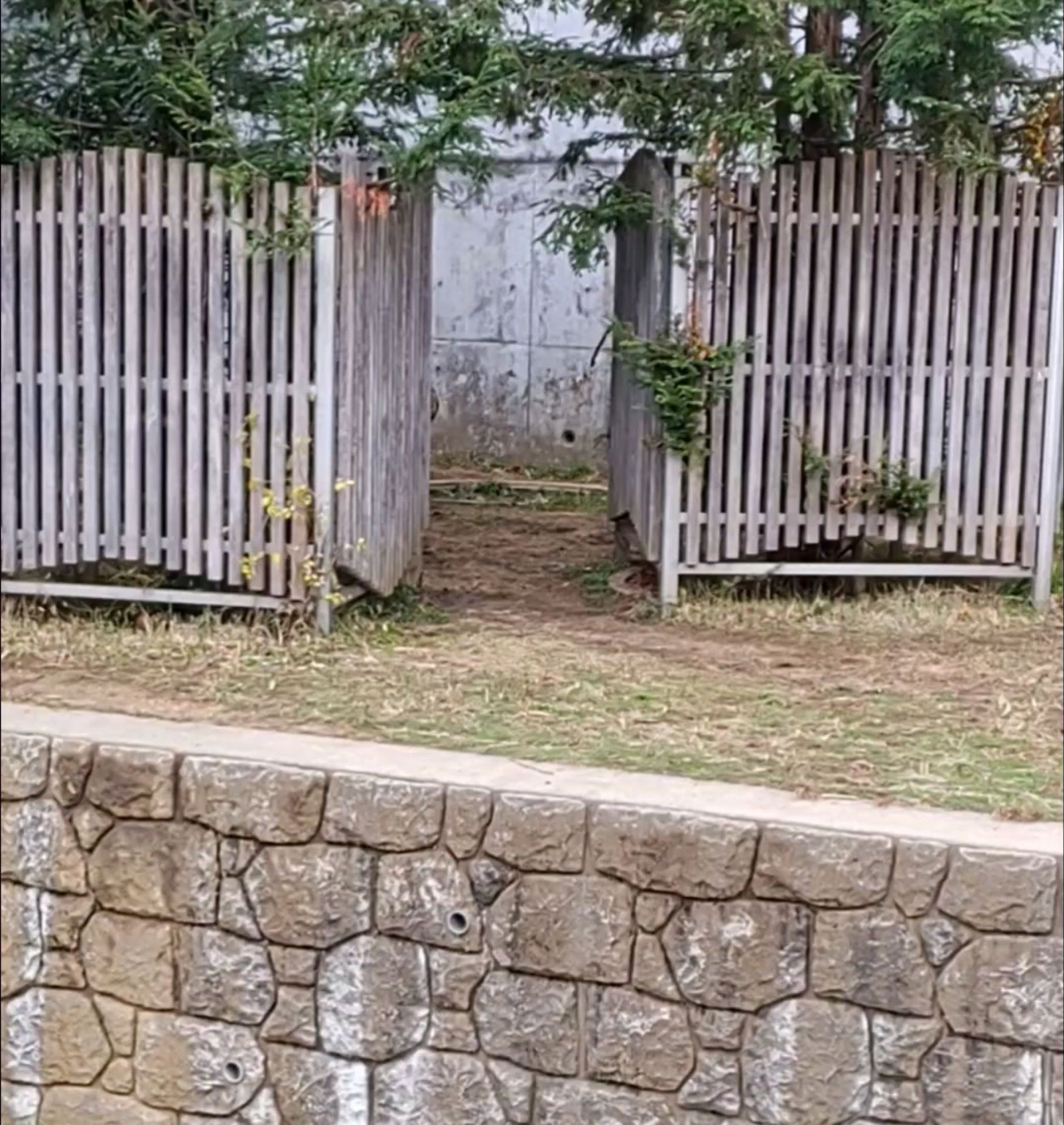 投稿動画サムネイル