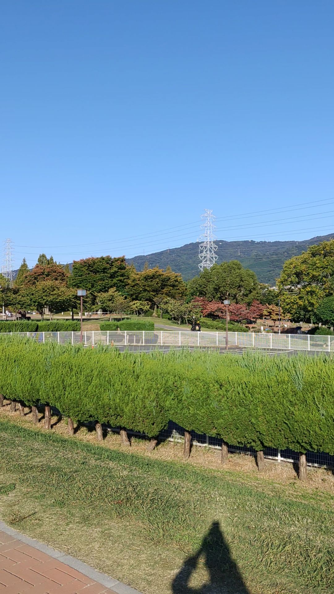 投稿動画サムネイル