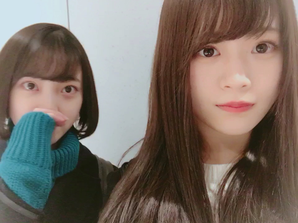 投稿動画サムネイル