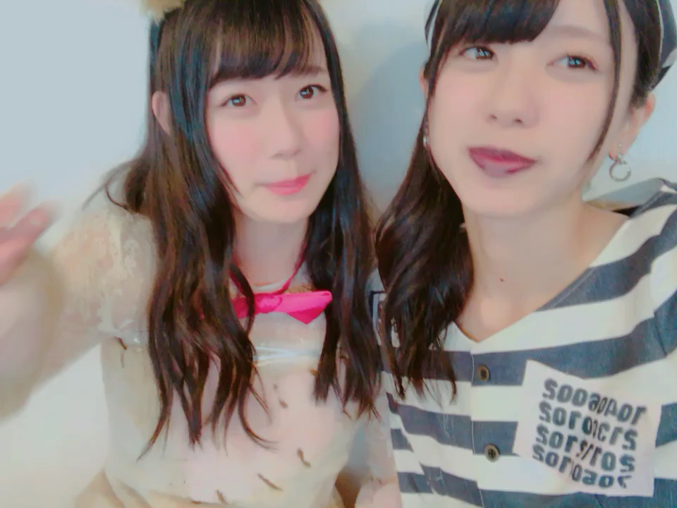 投稿動画サムネイル