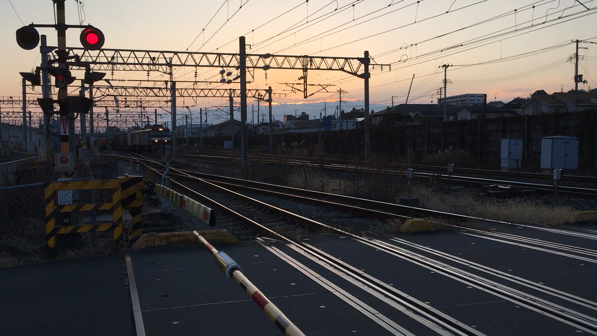 投稿動画サムネイル