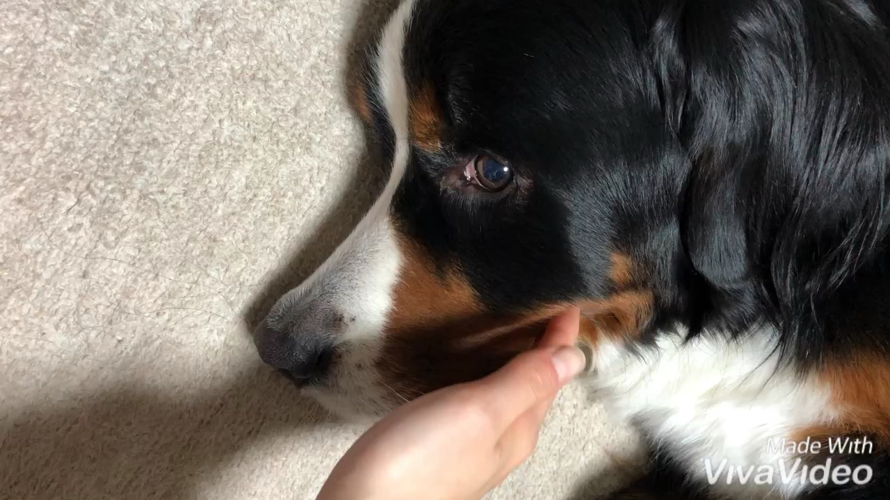 投稿動画サムネイル